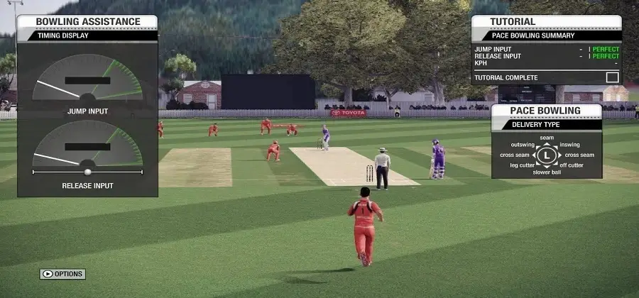 What are the Keyboard Controls for Don Bradman Cricket 14 for a PC?