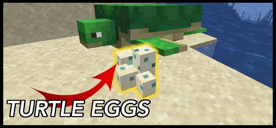 How to Hatch a Turtle Egg in Minecraft